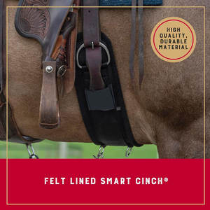 Precio barato de alta calidad 2025 Venta al por mayor Último diseño personalizado Circunferencia de equitación Material personalizado Circunferencia Nuevo diseño - Product Image 2