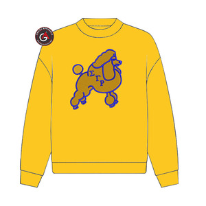 Sigma Gamma Rho Sorority Broderie Femmes Sweat Ras Du Cou | SGRho Sorority Brodé Dames Style Personnalisé Crewneck - Product Image 6