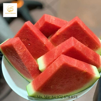 Melon d'eau sans pépins frais planté au Viet Nam emballage 13kg par carton exporté par le sud du Mékong Vietnam