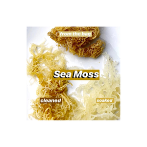 Venta al por mayor de musgo marino irlandés con seamoss secos de alta calidad de Vietnam secado Eucheuma Cottonii ALTA CALIDAD garantizada - Product Image 3