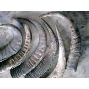 Corne de buffle naturelle et pointe de corne-Art de style animal de haute qualité et taille personnalisée à collectionner - Product Image 2