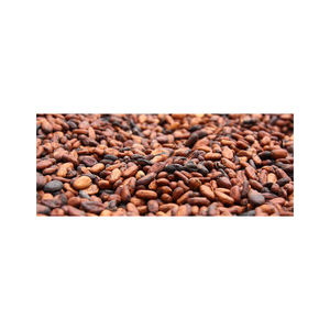 Granos de Cacao Verde Premium al por Mayor, Aroma Natural, Variedad ARIBA a Precio Económico - Product Image 4