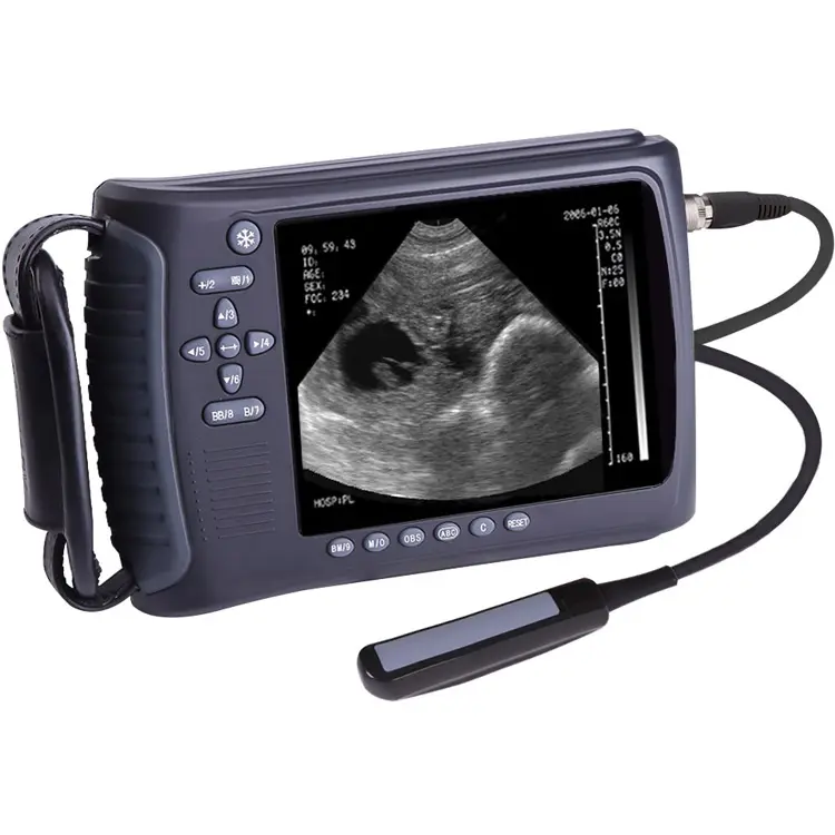 CE Approved Medical B/W Veterinary Ultrasound Scanner Vet Handheld Dog Cat Ultrasound Machine