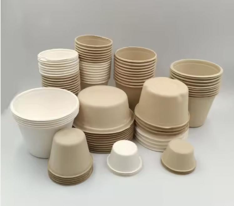 Salad Container Hexagon Eco Friendly Custom 1600/1300/1000/750ml Disposable Sugarcane Paper Salad Bowl with Lid
