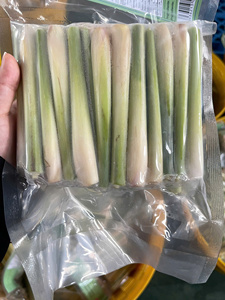 Approvisionnement en vrac en citronnelle congelée : ingrédient à base de plantes fraîchement récolté, IQF, en tranches et haché, pour l'exportation vers les acheteurs internationaux. - Product Image 5
