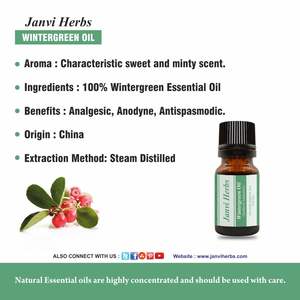 Janvi Herbs Wintergreen Huile essentielle pure Exportateur en vrac pour relaxation musculaire et aromathérapie Fabricant - Product Image 6