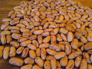 Vente Flash Haricots Sucrés Biologiques Séchés en Vrac 25kg Belgique - Product Image 2