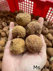 Fruta de lichi seca de origen vietnamita | Lichi entero deshidratado para venta al por menor o OEM | Sra. Lily - Product Image 6