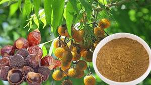 ธรรมชาติแห้ง Soapnuts // ผลิตภัณฑ์ที่ดีที่สุดสำหรับคุณด้วยราคาที่ดี // เป็นมิตรกับสิ่งแวดล้อม - Product Image 2