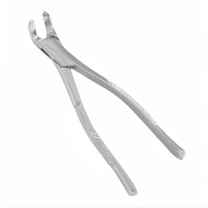 Juego de Instrumentos Dentales para Caballos de Acero Inoxidable REHMAT NOOR INDUSTRY RN-WTEF-001, Equipo Veterinario Equino para Limpieza y Obturación Dental - Product Image 3