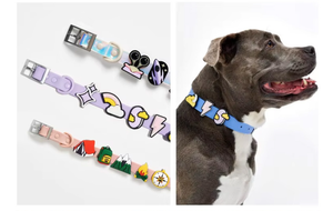 Ensemble collier et laisse pour chien en silicone et PVC, accessoires décoratifs ajustables, imperméables et enduits de silicone - Product Image 5