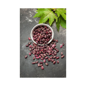 Suministro Confiable de Frijoles Frescos (Frijoles de Hueso) con Empaque Personalizado y Servicio OEM/ODM para Fabricantes de Alimentos y Revendedores - Product Image 6