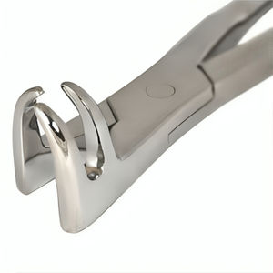 เครื่องมือถอนฟันม้า REHMAT NOOR INDUSTRY RN-OS3RMF-001 ทำจากสแตนเลส แบบสามง่าม สำหรับถอนฟันม้า - Product Image 4