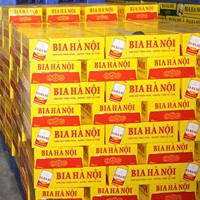 Canettes de bière HAN-OI exportées 330ml-Bière de malt d'orge-Meilleur prix Fournisseurs de bière vietnamiens pour voyage, extérieur, camping, tous les jours
