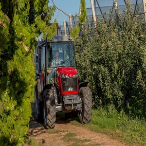 Achetez un tracteur Massey Ferguson série MF 3700 de qualité supérieure avec livraison rapide à prix de gros pour l'agriculture, fiabilité et puissance. - Product Image 2