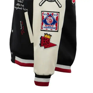 Veste de baseball Letterman en laine universitaire personnalisée avec patchs en chenille et broderie sur les manches Sororités Famu Varsity Jacket - Product Image 5