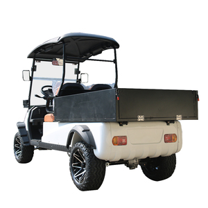 Voiture électrique à deux places, chariot de transport, batterie au plomb-acide, certifiée CE, 45 km/h, autonomie de 80-90 km, chargement et déchargement pratiques, personnalisable - Product Image 3