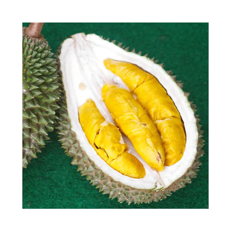 Wholesale Fresh Musang King D197 Durian (Fresh Fruit) Golden Flesh Definitely Provides with Perfect Satisfaction