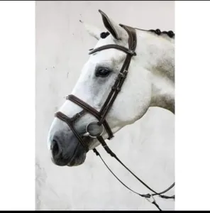 Brida de cuero negro inglés de alta calidad para caballo, suave y cómoda, personalizable, aprobada internacionalmente, con boca de rienda. - Product Image 2