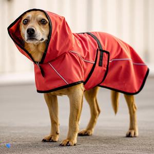 Abrigo Softshell ligero para perros, ropa para mascotas a prueba de viento, venta al por mayor para minoristas de todas las razas, hecho en Turquía - Product Image 5