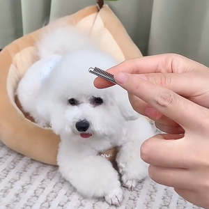 Peigne de toilettage de chien Simple professionnel manche en bois de Rose dents de fer peigne de puces et de perte écologique Durable - Product Image 4