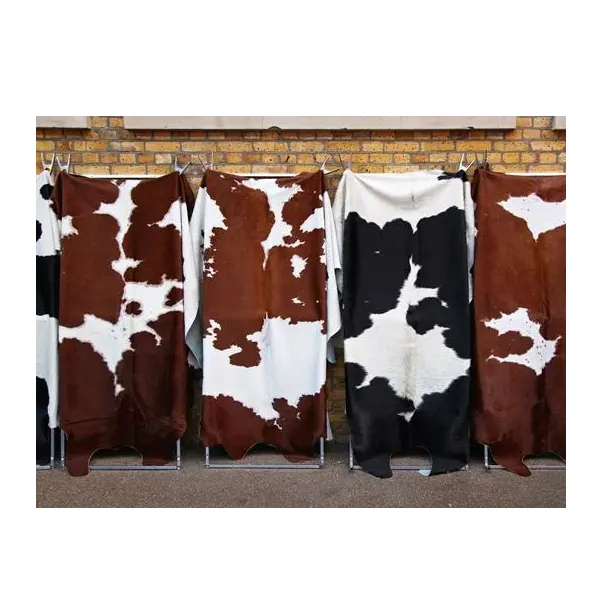 Best Price Raw Wet Salted and Dried Cow Hides / Skins Bulk Stock Available With Customized Packing