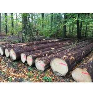 บันทึกโก้สดตัด-ราคาขายส่งสำหรับการสั่งซื้อจำนวนมาก - Product Image 5