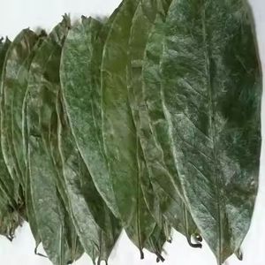 Feuilles de corossol entières vertes naturelles séchées biologiques pures de qualité supérieure pour tisane - Product Image 5