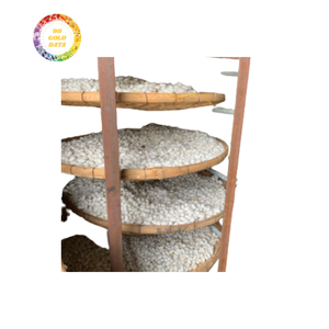 Capullo de gusano de seda de alta calidad para la producción de seda-Suministro a granel asequible y confiable. - Product Image 6