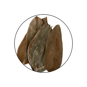 Hojas de Guanábana Secas al Aire, Naturales y Orgánicas // Sr. Kevin - Product Image 1