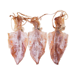 Calamar seco de la mejor calidad al precio al por mayor, buen gusto, hecho de calamar fresco - Product Image 5