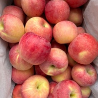 Verse Golden Delicious Appels Biologisch AA Kwaliteit Bulk Levering met Aangepaste Verpakking