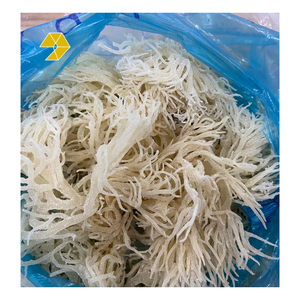 Musgo de mar blanco seco Vietnam Natural Golden Eucheuma Cottonii Seamoss Algas marinas - Product Image 1