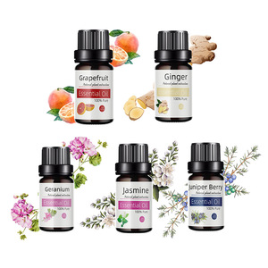 Diffuseur d'huiles essentielles en bois en forme de citrouille Confidante Hotel Hamidi, bâtonnets parfumés aux fruits, huile parfumée personnalisée - Product Image 2