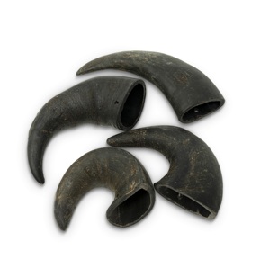 Cuerno para masticar, comida para perros, cuerno de Búfalo, comida para perros, precio a granel, el mejor cuerno de acabado para masticar perros, artesanías hechas a mano - Product Image 2