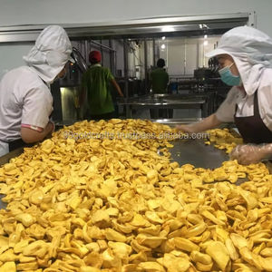 Proveedor de Jaca seca de primera calidad, fruta deshidratada de Jaca liofilizada al por mayor, directo de fábrica con precio competitivo. - Product Image 1