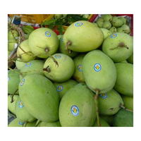 Groothandel 2026 Lage Prijs Verse Mango's uit Vietnam, Premium Kwaliteit Graad A, 12-16cm, 0.25kg