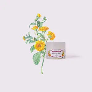 Baume à lèvres Calendula & Citron P1 - Product Image 3