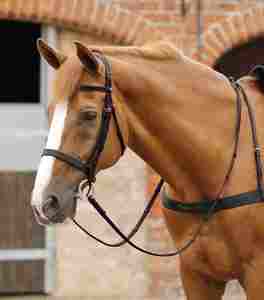 Durable Racing Horse Riding <b>Reins</b> Anti Slip <b>Side</b> <b>Reins</b> Accessories Factory Direct Manufacturer Supplier OEM Wholesale Bulk - Product Image 2