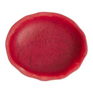 Bol de service de fruits en résine fait à la main Tendance Style indien Résine Sculpté à la main Bol de fruits Salade Vaisselle décorative et articles ménagers - Product Image 6