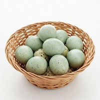 Oeufs à couver Cobb 500 Oeufs de poulet fertiles de qualité supérieure pour les fermes de poulets de chair Commandez maintenant