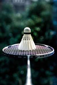 Volant de badminton en plumes d'oie de super classe, niveau de tournoi BWF, pour l'entraînement des joueurs professionnels - Product Image 4