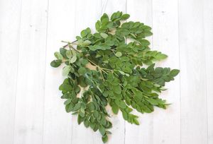 Hojas de Moringa, superalimento Premium seco y natural, suministro al por mayor a granel, exportación orgánica y de etiqueta privada - Product Image 2