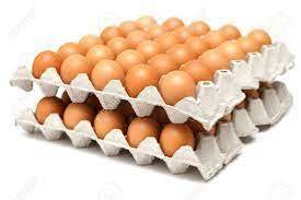 Chất Lượng Cao Tinh Khiết Tự Nhiên Màu mỡ Gà Bảng Trứng Tươi Màu Nâu Và Trắng Nở Trứng Trực Tiếp Từ Trang Trại - Product Image 5