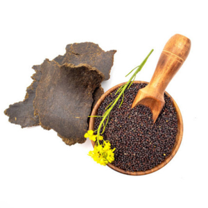 Graines de moutarde brune gujaratienne biologiques, haute pureté, entières, durée de conservation de 24 mois, Fittree International Condiment B2B Direct - Product Image 2