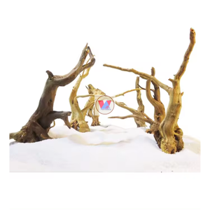 Madera Flotante de Coral de Vietnam en Venta / Decoración para Acuarios / Hábitats para Mascotas - Product Image 1