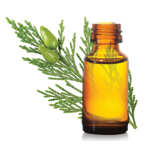 Aceite esencial de ciprés puro 100% - Product Image 4