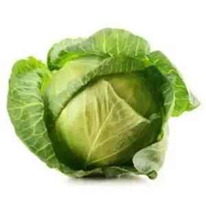 New Crop Fresh green cabbage From Vietnam Wholesale price fast delivery