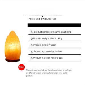 Lampe de sel de l'Himalaya 2026, veilleuse décorative de chevet, petite lampe de nuit, décoration d'intérieur, lumières d'ambiance, prise EU - Product Image 4
