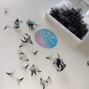 Pestañas de Plumas 3D-24D Hechas a Mano, con Efecto Fluffy, Curvatura CC, 1000 Fans, Diseñadas Según los Requisitos del Cliente, Sintéticas y Duraderas - Product Image 4